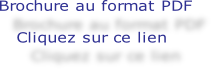 plaquette ANMP (2).pdf
